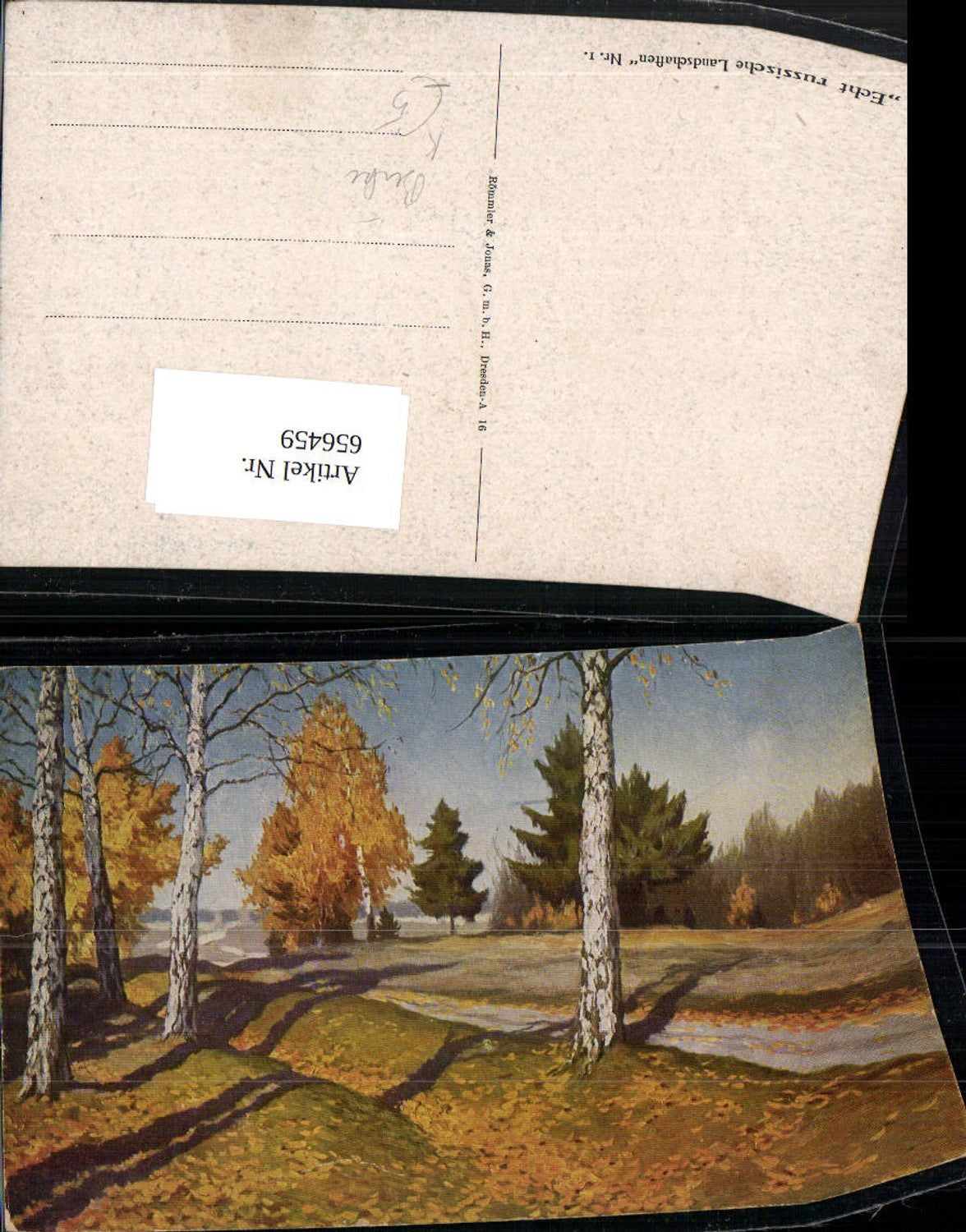 656459,Künstler Ak Echt russische Landschaften Birken Bäume