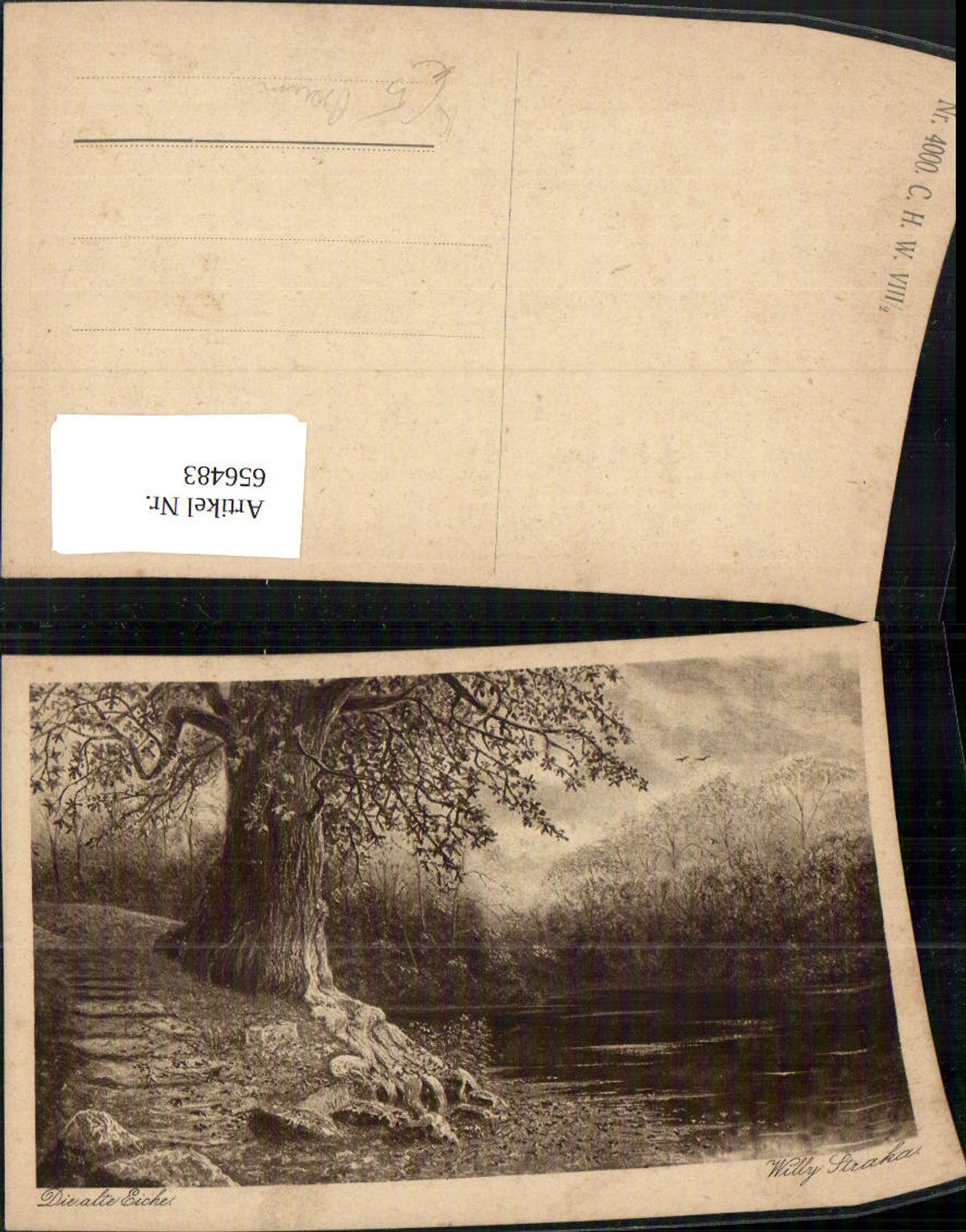 656483,Künstler Ak Willy Straka Die alte Eiche Alter Baum Landschaft