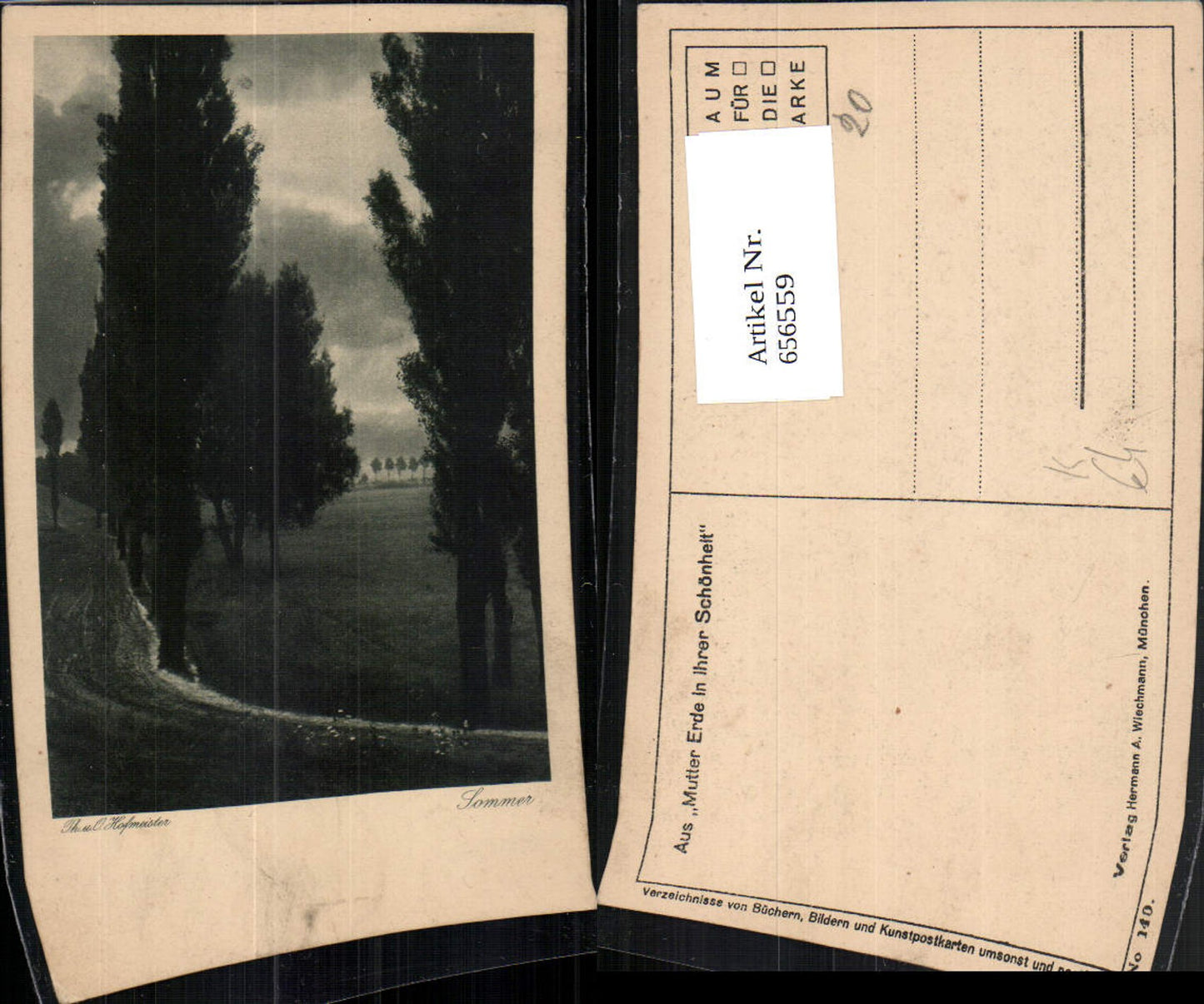 656559,Künstler Ak Th. u. O. Hofmeister Sommer Landschaft Bäume