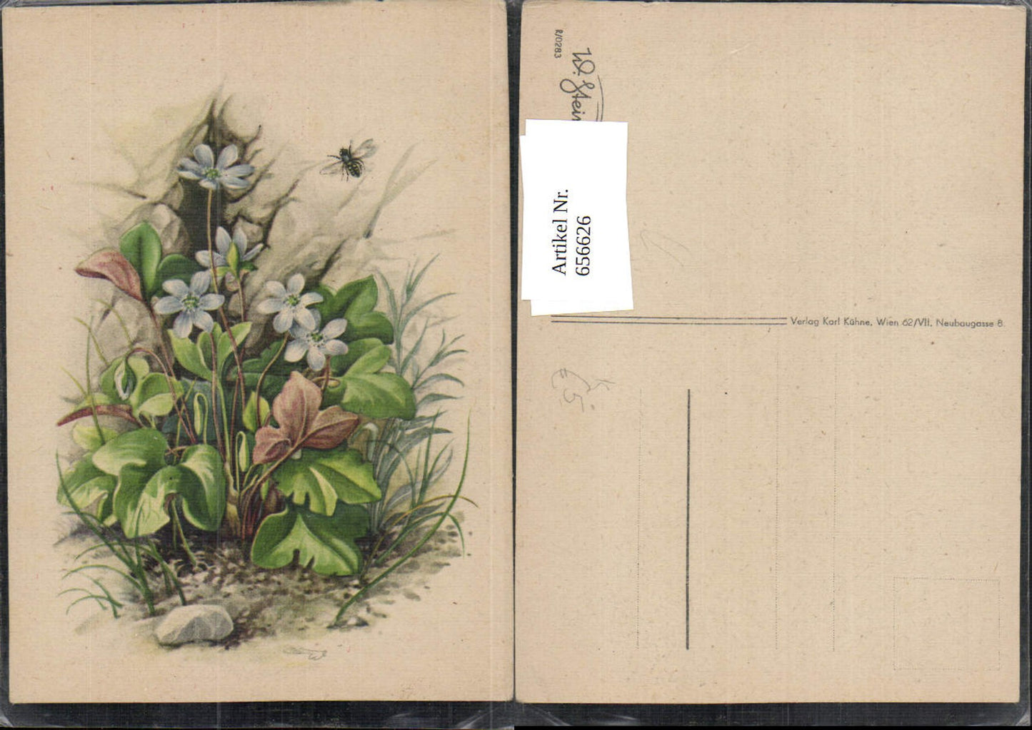 656626,Künstler Ak W. Steinhäusser Vergissmeinnicht Blumen Fliege