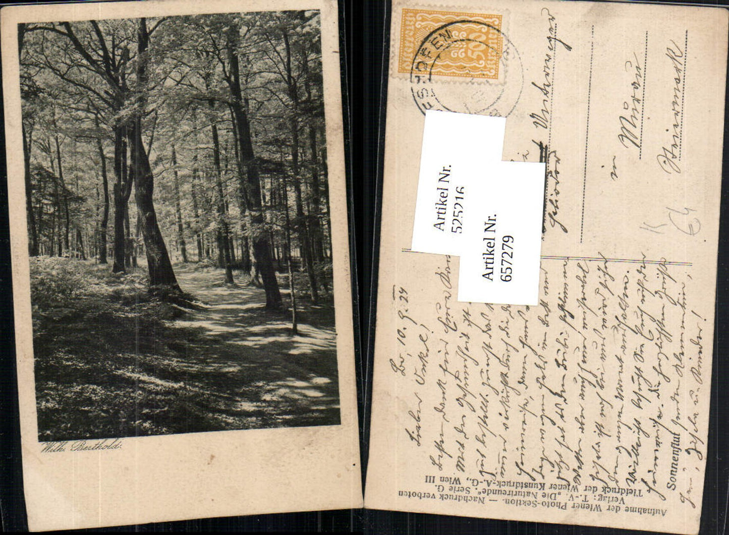657279,Künstler AK Wilh. Berthold Sonnenflut Bäume Wald Stp. Bischofshofen Murau