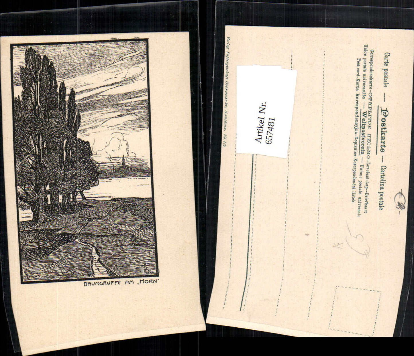 657481, Artist AK Tree Group at the Horn