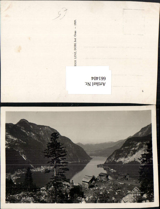 661404,Foto Ak Hallstatt Hirschaualm
