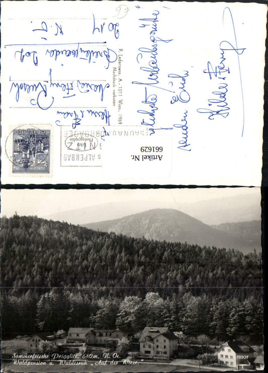 661629,Foto Ak Prigglitz Waldpension u. Waldesruh Auf der Wiese