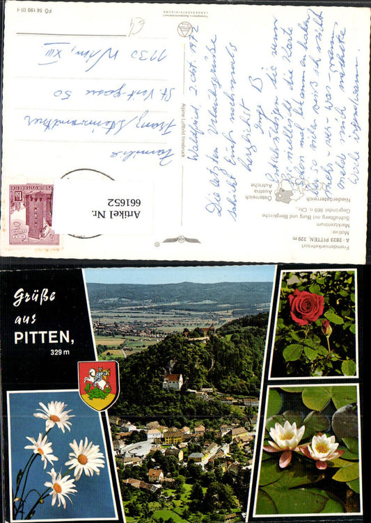 661652,Mehrbild Ak Pitten Blumen Rosen Seerosen