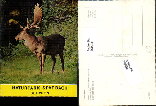 661688,Hinterbrühl Sparbach b. Wien Damhirsch Naturpark