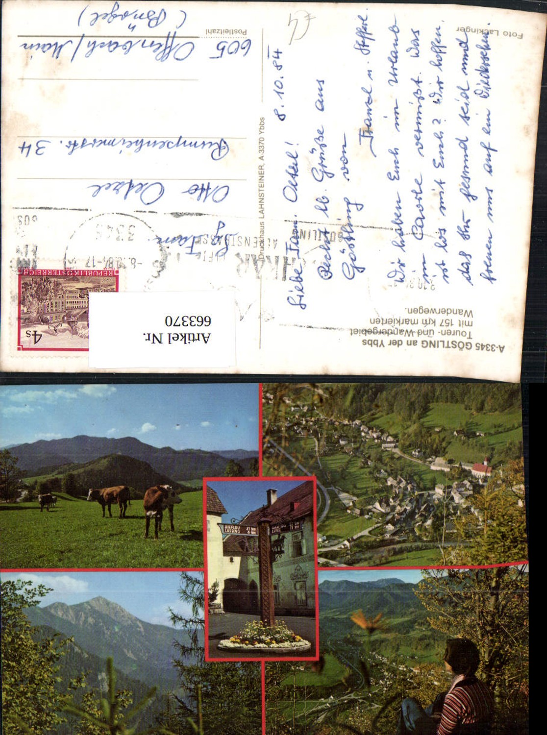 663370,Mehrbild Ak Göstling a. d. Ybbs Kühe Ansichten