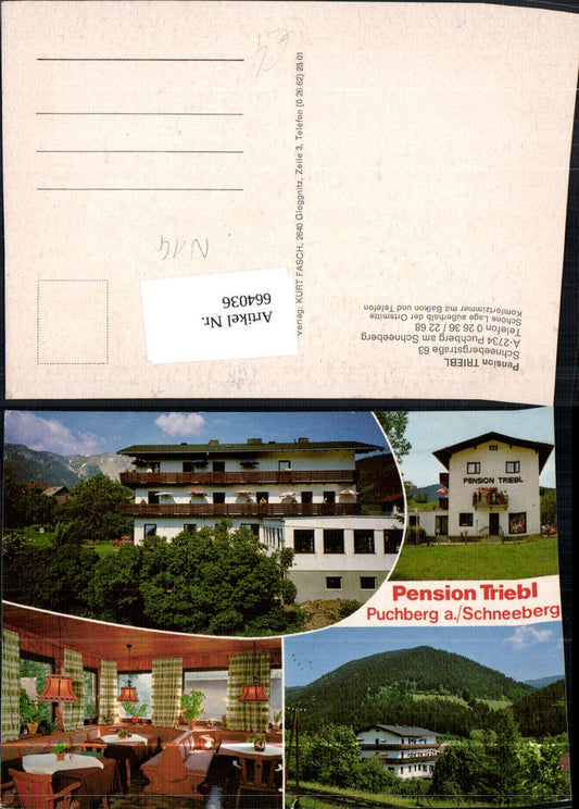 664036,Mehrbild Ak Puchberg a. Schneeberg Pension Triebl