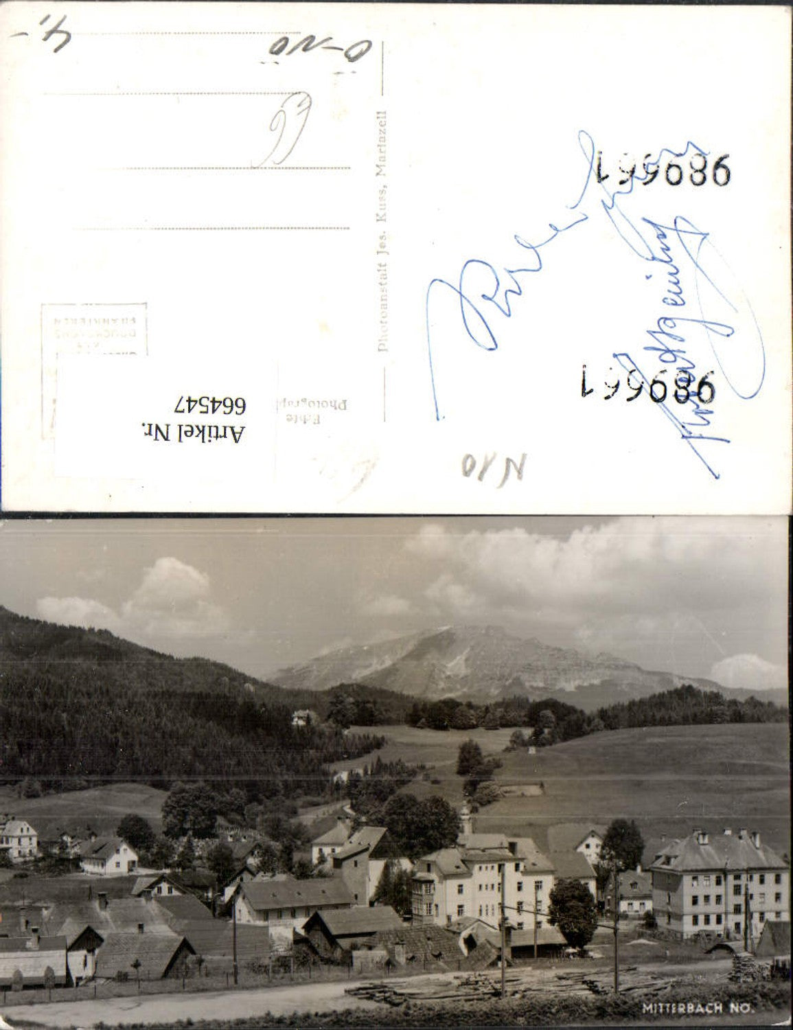 664547,Foto Ak Mitterbach a. Erlaufsee Ansicht