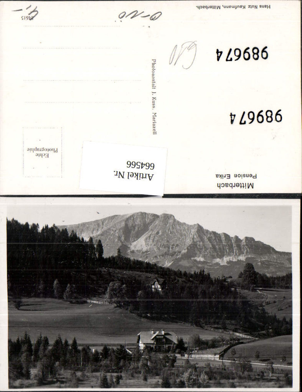 664566,Foto Ak Mitterbach a. Erlaufsee Pension Erika