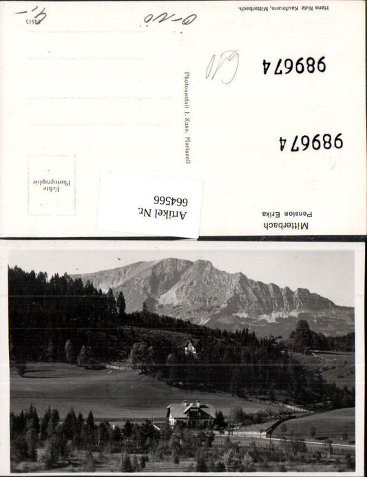 664566,Foto Ak Mitterbach a. Erlaufsee Pension Erika