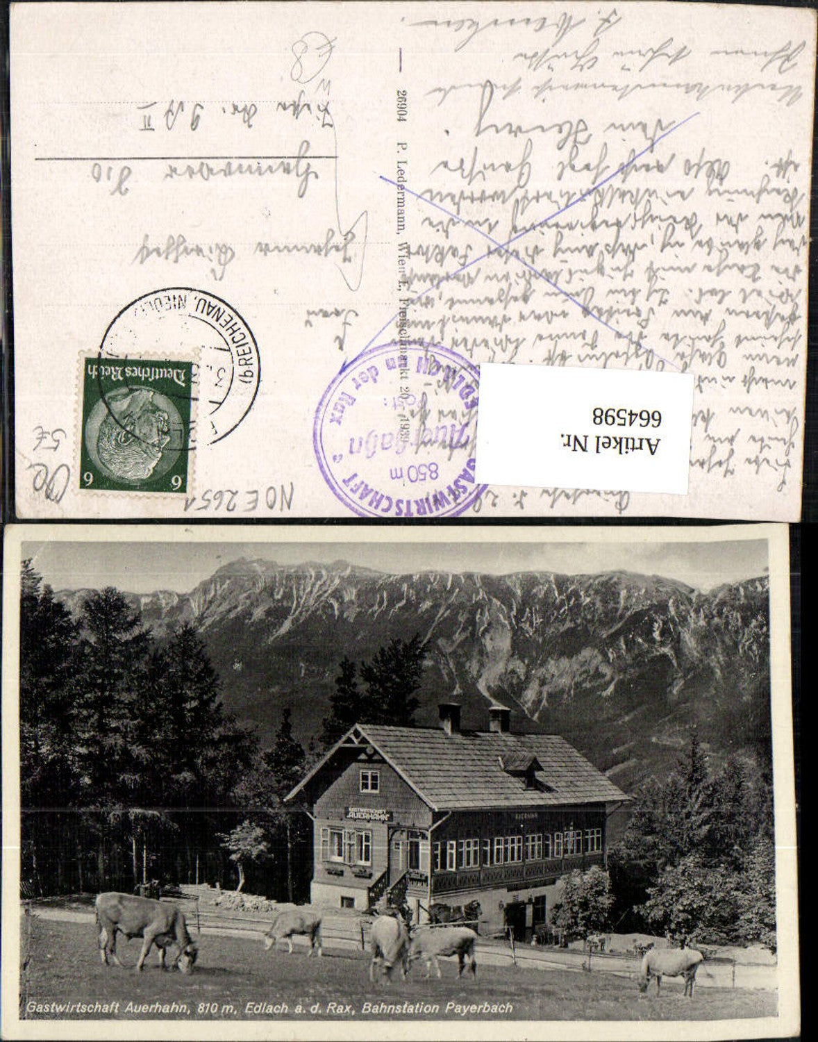 664598, Reichenau Edlach ad Rax Payerbach Gastwirtschaft Auerhahn Kühe Rinder