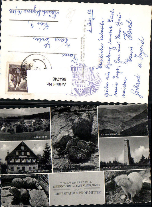664748,Mehrbild Ak Oberndorf am Jauerling Biberstation Maria Laach am Jauerling