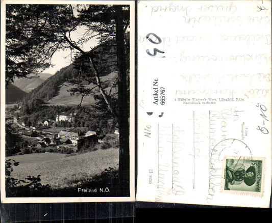 665767,Foto Ak Freiland Türnitz