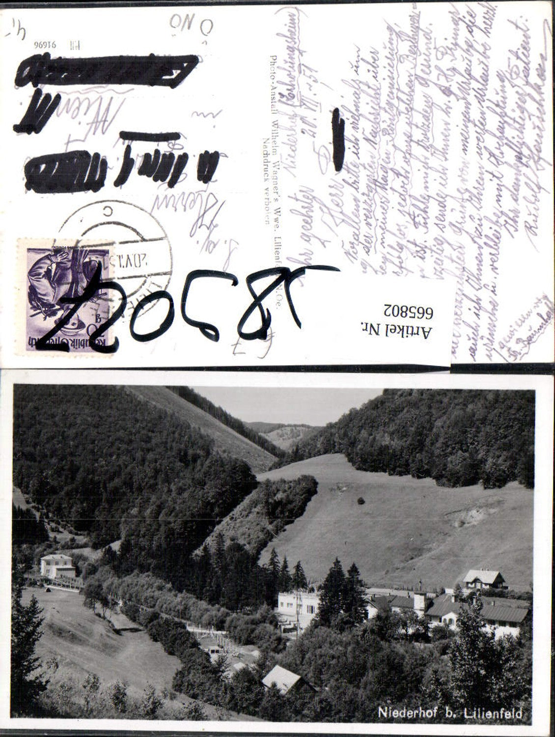 665802,Foto Ak Niederhof b. Lilienfeld