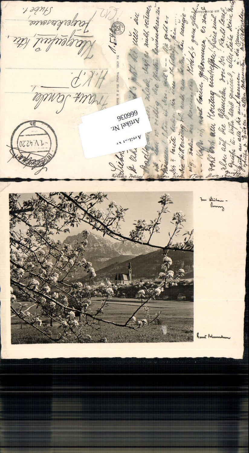 666036, Photo-AK Photo Art Ernst Baumann Blossoms Tree Field Post HS Art Card