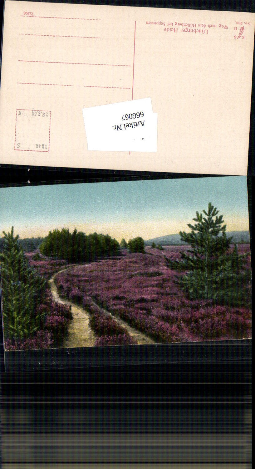 666067,Lüneburger Heide Weg nach Höllenberg Seppensen