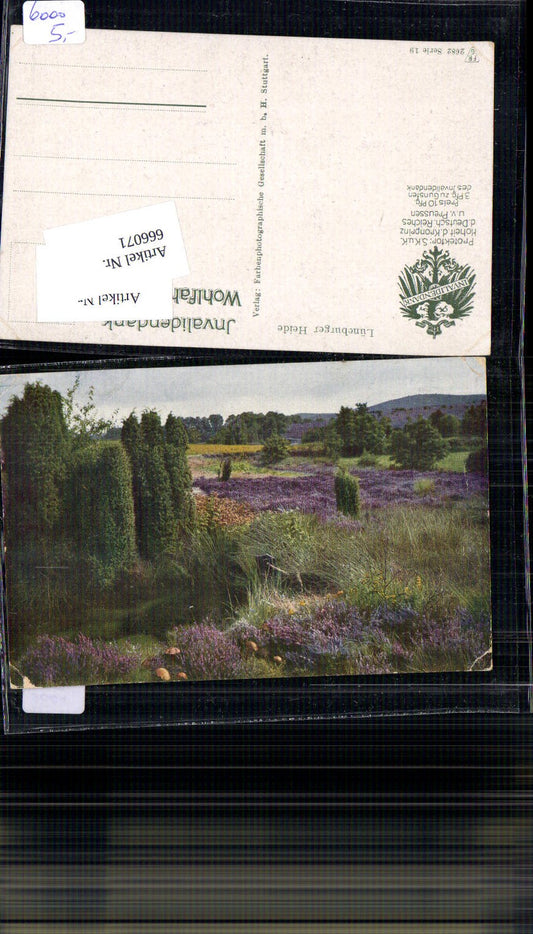 666071,Lüneburger Heide Landschaft