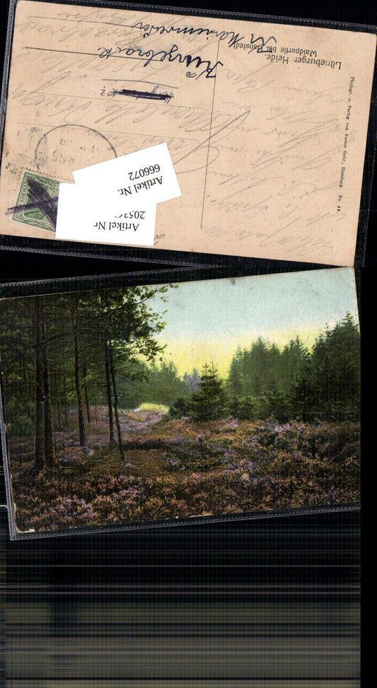 666072,Lüneburger Heide Waldpartie b. Hanstedt Bahnpost Zug 485