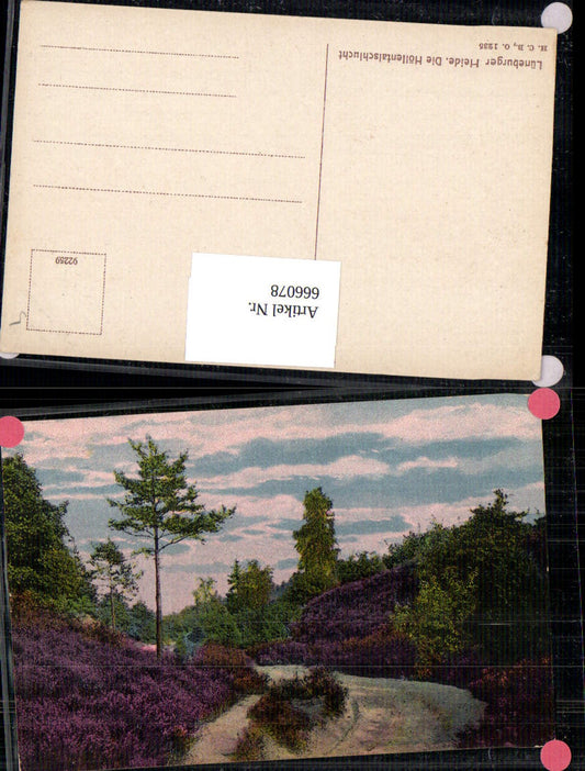 666078,Lüneburger Heide Höllentalschlucht Höllental