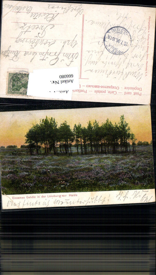 666080,Lüneburger Heide Gehölz in der Heide