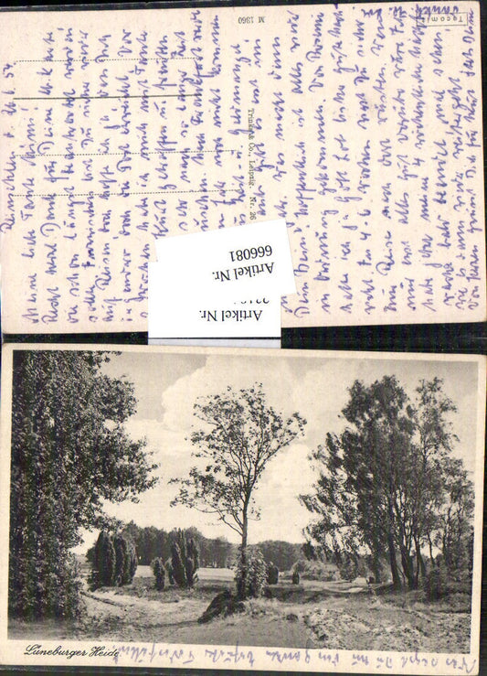 666081,Lüneburger Heide Motiv