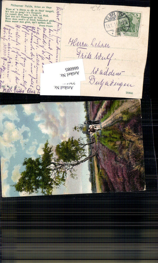 666085,Lüneburger Heide Birken Birke am Weg