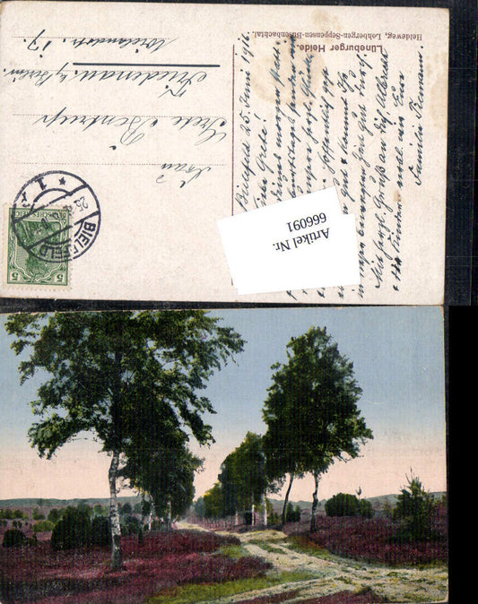 666091,Lüneburger Heide Heideweg b. Lohbergen Seppensen Büsenbachtal Birken Bäume