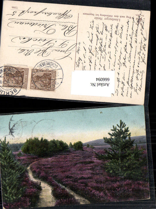 666094,Lüneburger Heide bei Höllenberg Seppensen Weg