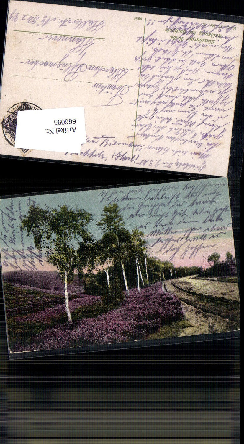 666095,Lüneburger Heide Heideweg bei Buchholz