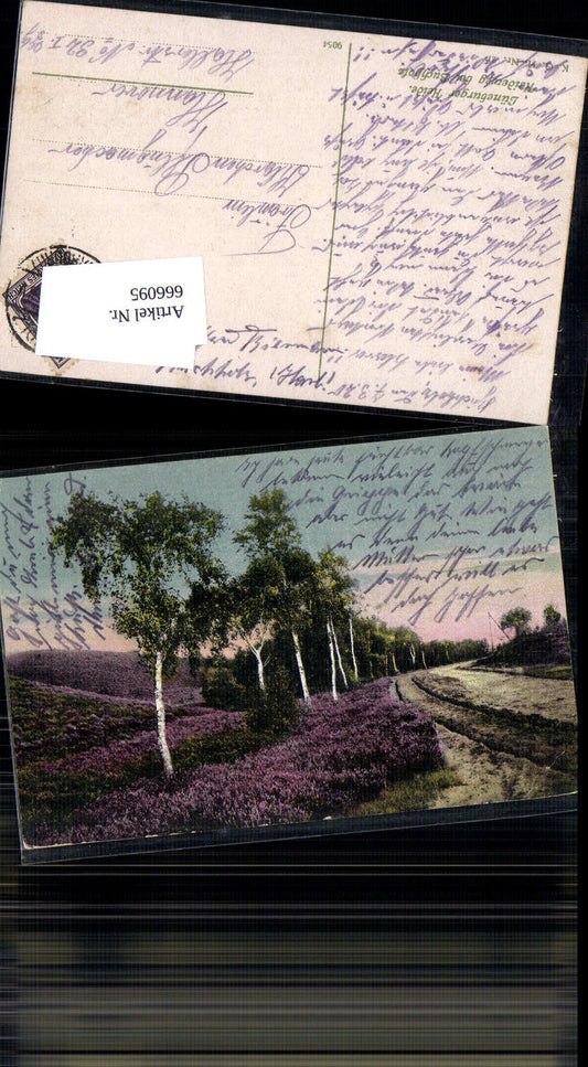 666095,Lüneburger Heide Heideweg bei Buchholz