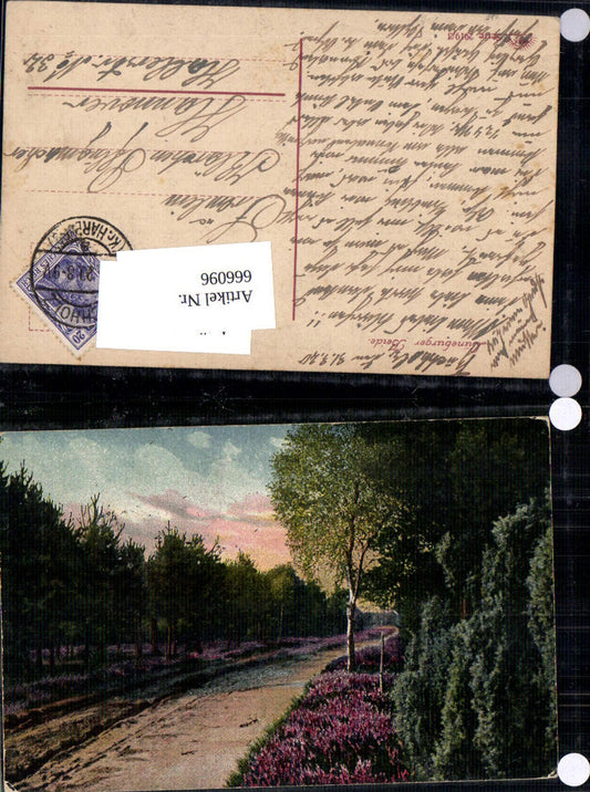 666096,Lüneburger Heide Motiv