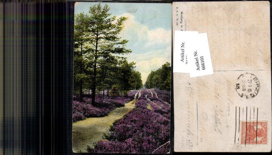 666101,Lüneburger Heide Waldweg in den Lohbergen