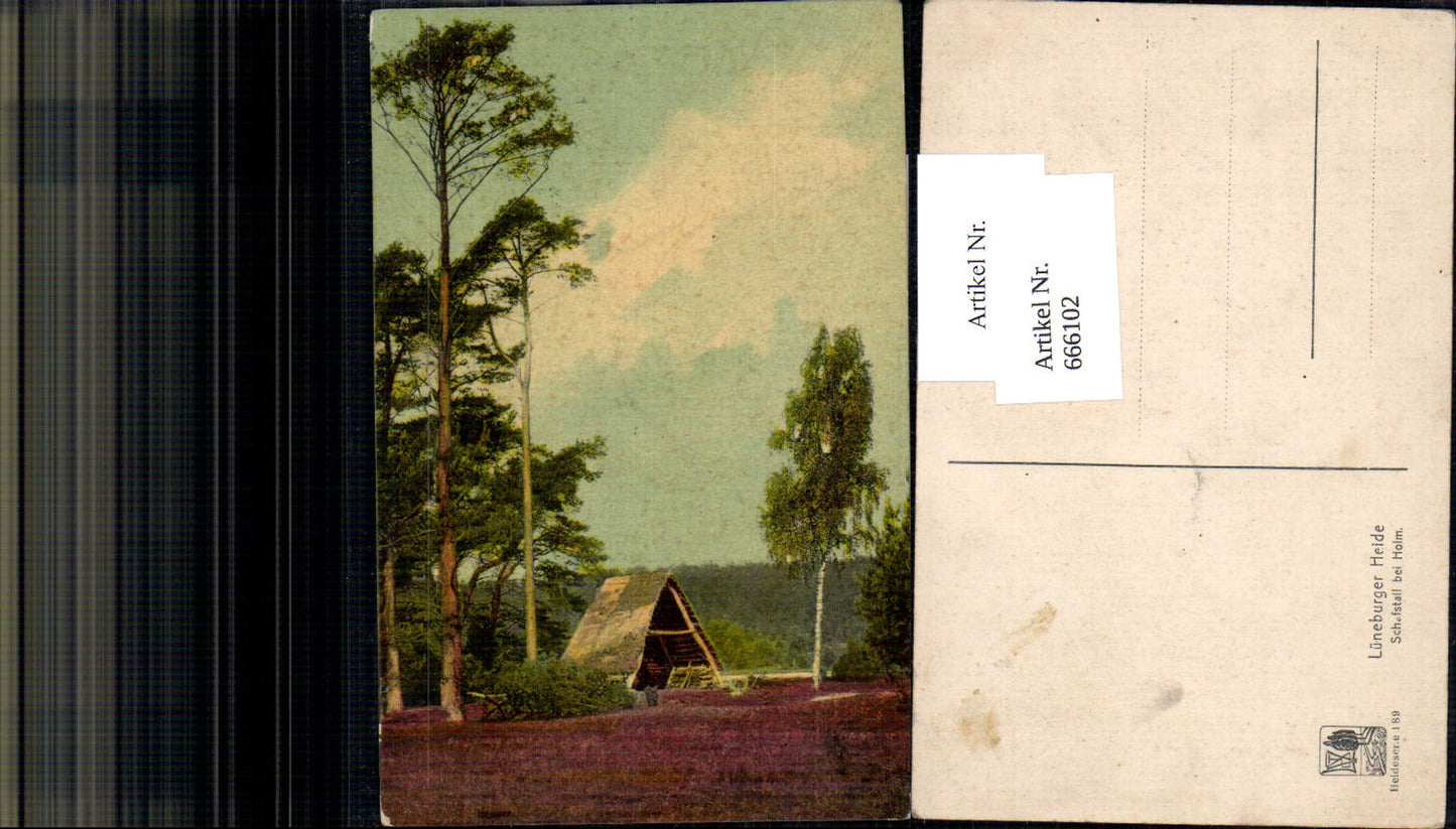 666102,Lüneburger Heide Schafstall Stall bei Holm
