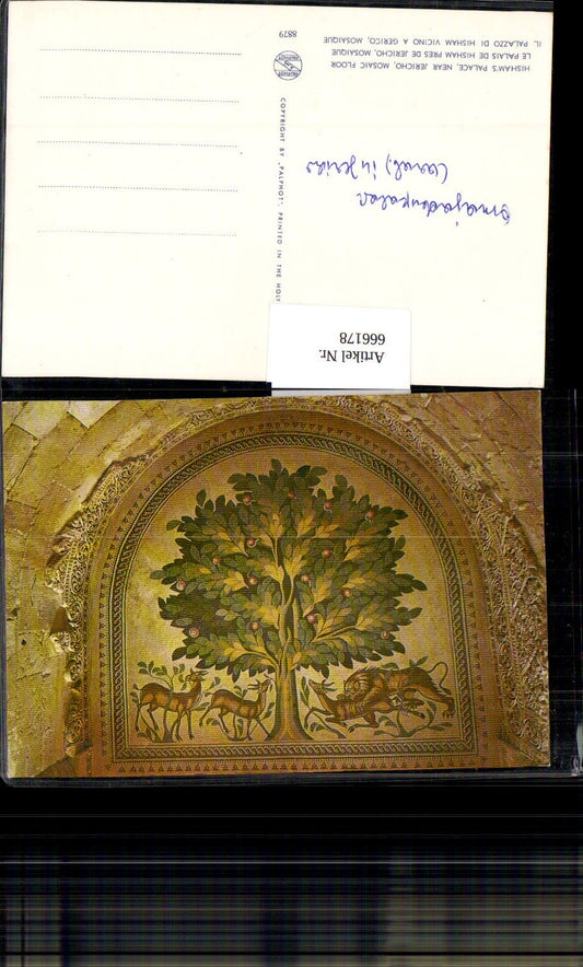 666178,Hishams Palace near Jericho Mosaic floor Mosaik Israel