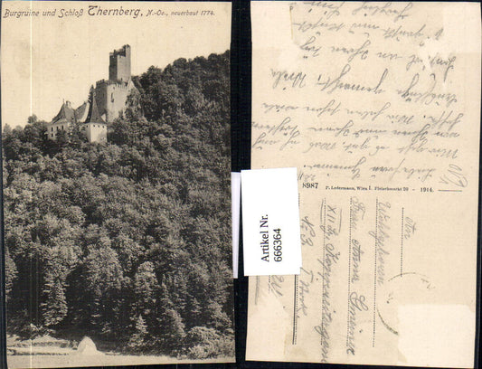 666364,Thernberg Schloss Ruine Scheiblingkirchen-Thernberg pub Ledermann 8987