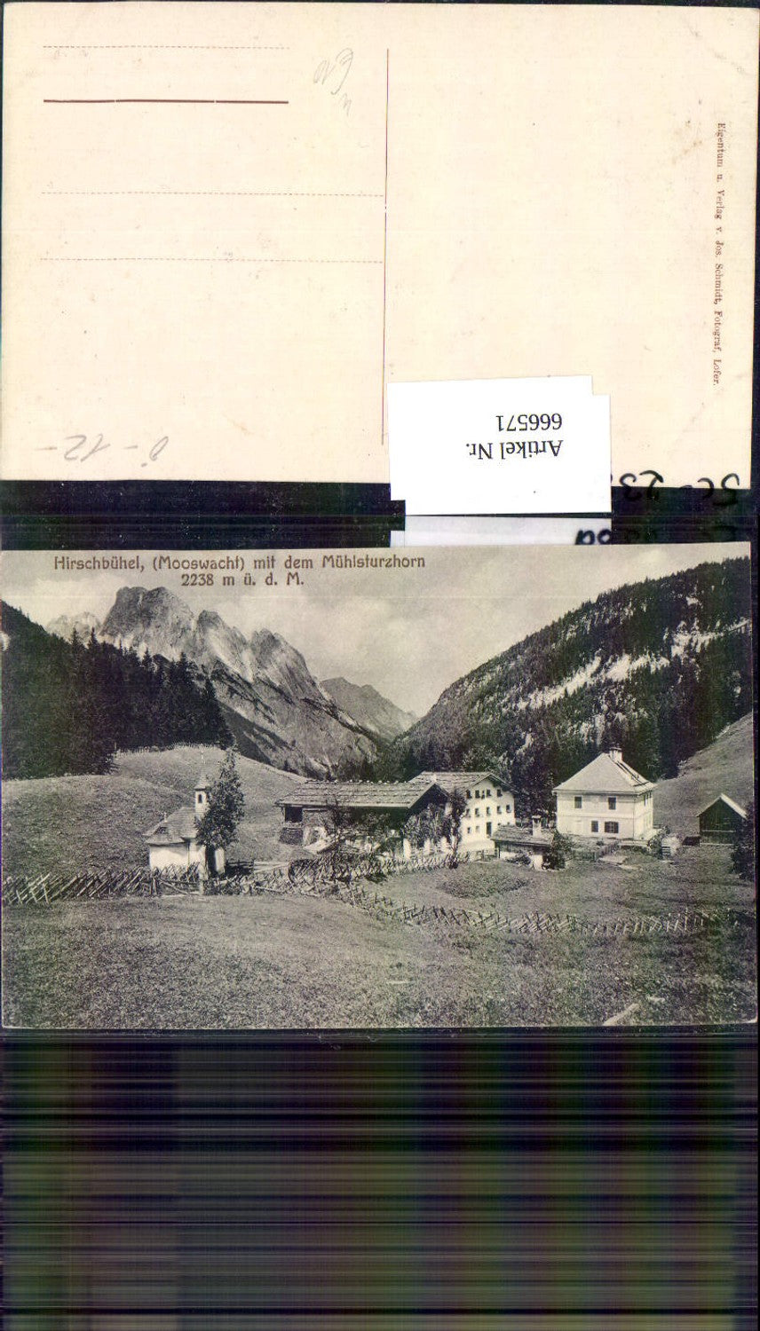 666571,Hirschbühel Mooswacht Weißbach b. Lofer Mühlsturzhorn