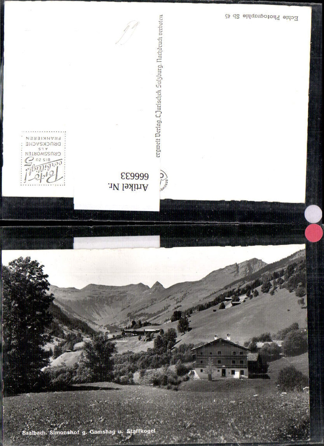 666633,Foto Ak Saalbach-Hinterglemm g. Gamshag u. Staffkogel