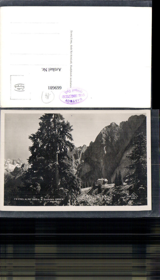 669681,Foto Ak Zwieselalpe m. Dachstein Gosau Gablonzerhaus