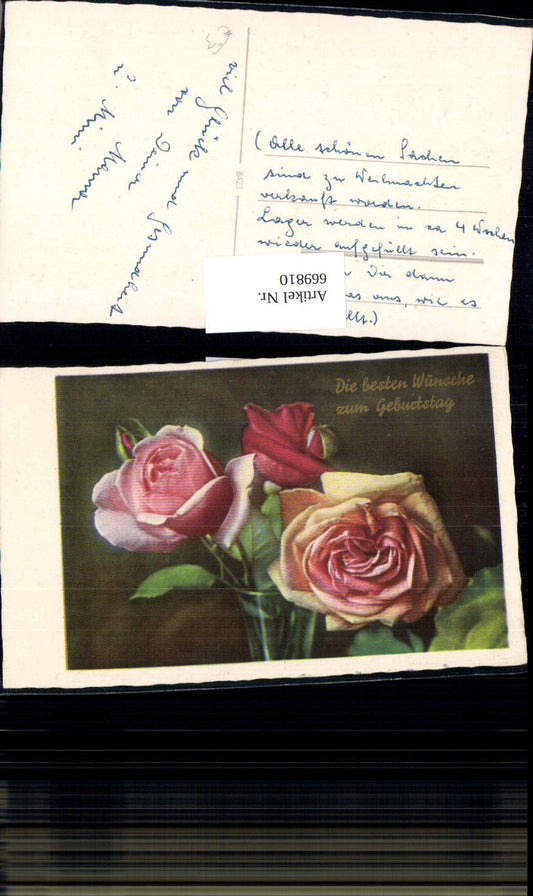 669810,Rosa Rote Rosen Blumen Geburtstag