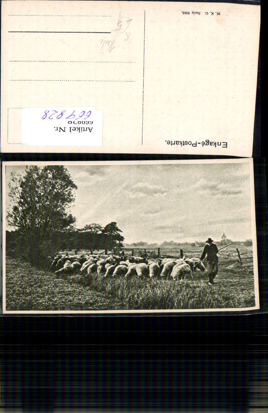 669828,Künstler Ak Schafe Tiere Schafherde Schäfer Hirte Landwirtschaft