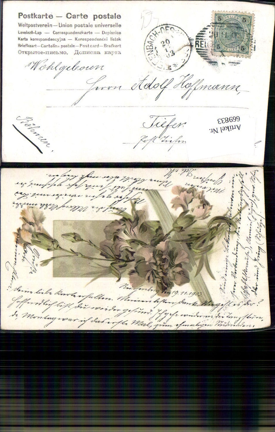 669833,Litho Nelken Blumen Flora