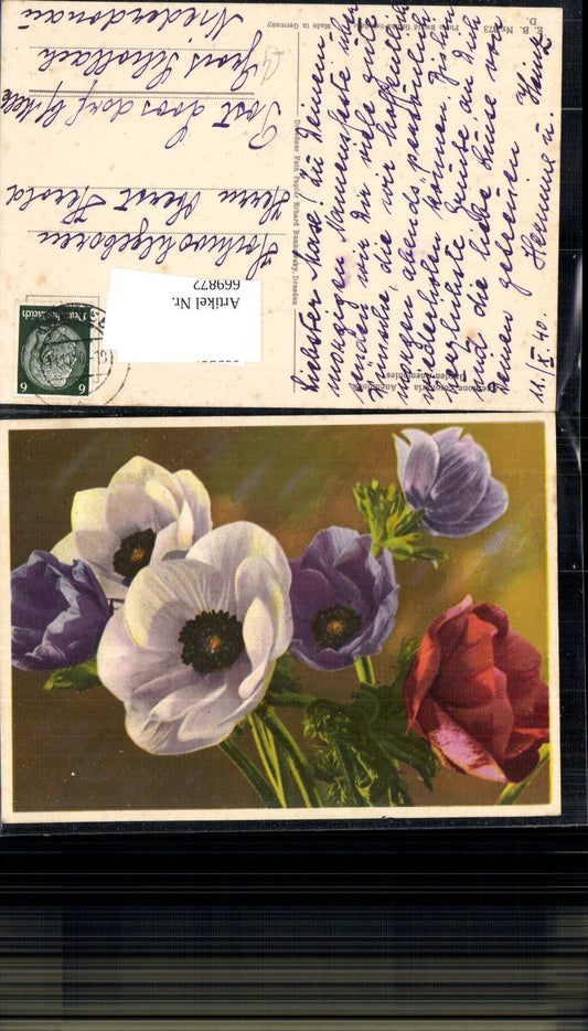 669872, Artist Ak Anemones Garden Flowers Blossoms Flora
