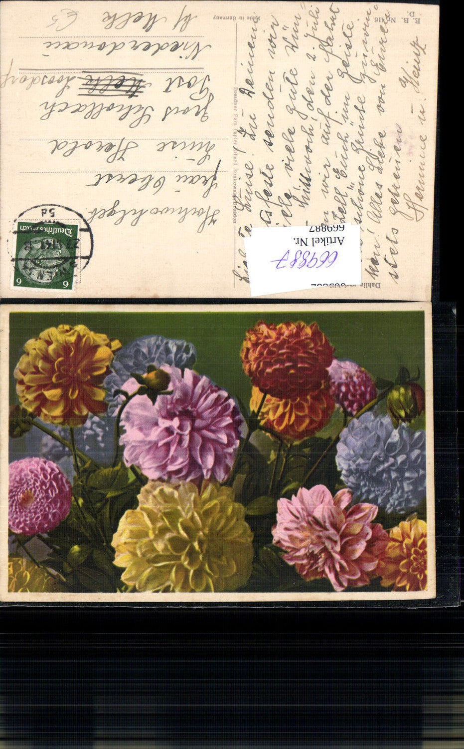 669887, Dahlia variabilis Dahlias Flowers Flora