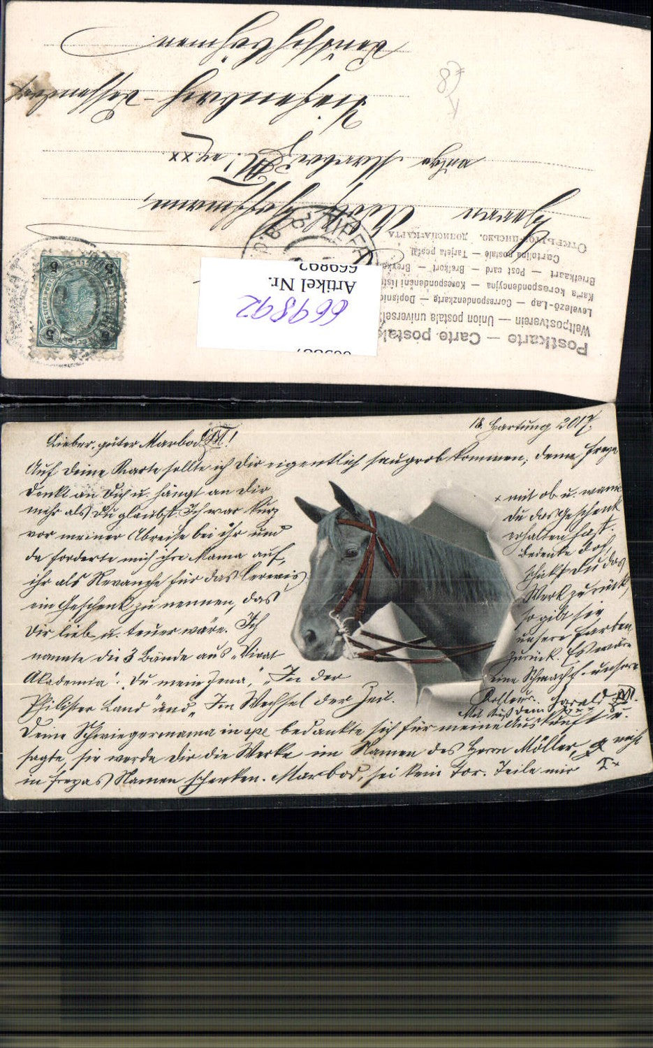 669892, Artist Ak Horse Horse's head looking through torn paper Animals