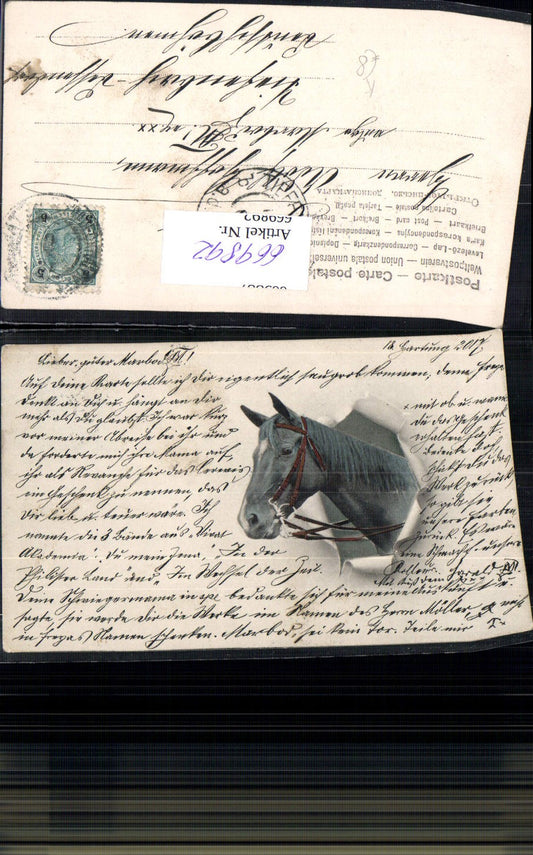 669892, Artist Ak Horse Horse's head looking through torn paper Animals