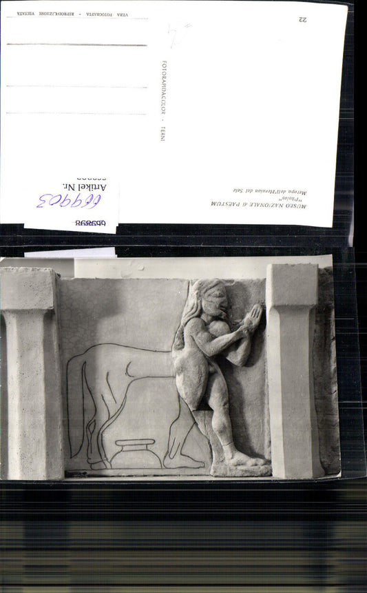 669903,Relief Museo Nazionale di Paestum Pholos Metopa del Heraion del Sele Kunst