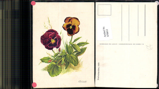 670612,Künstler Ak Ch. Waltl Stiefmütterchen Viola Blumen Pflanzen
