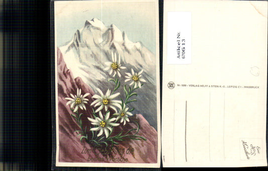 670613,Künstler Ak Edelweiß v. Bergkulisse Flora Alpinflora Pflanzen Geburtstag