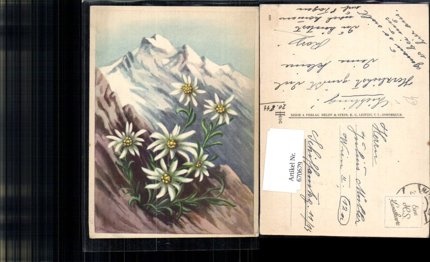 670679,Künstler Ak Edelweiß v. Bergkulisse Blume Flora pub Helff & Stein